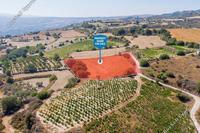 5352 SQM Land in Pano Akourdalia (Paphos) for sale 