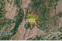 11706 SQM Land in Linopetra (Limassol) for sale 