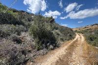 2342 SQM Land · Pyrgos Limassol (Limassol) for sale 