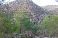 37459 SQM Land in Agios Therapon (Limassol) for sale 