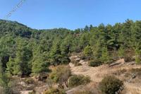 1673 SQM Land · Palaichori Morfou (Nicosia) for sale 
