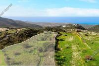 7358 SQM Land · Koili (Paphos) for sale 
