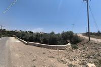 6080 SQM Land · Prodromi (Paphos) for sale 