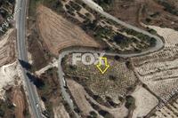 3985 SQM Land in Stroumbi (Paphos) for sale 
