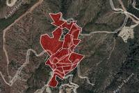 59205 SQM Land in Ora (Larnaca) for sale 
