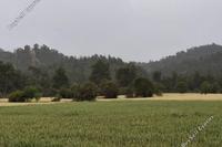 1673 SQM Land in Mitsero (Nicosia) for sale 