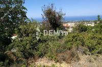 6247 SQM Land · Lofos Tala (Paphos) for sale 