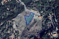 2900 SQM Plot in Kato Platres (Limassol) for sale 
