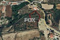 4348 SQM Land · Laneia (Limassol) for sale 