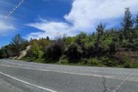 3404 SQM Land · Pera Pedi (Limassol) for sale 