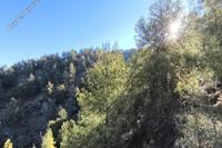 5017 SQM Land in Klirou (Nicosia) for sale 