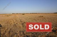 8696 SQM Land · Avgorou (Famagusta) for sale 