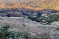 1032 SQM Land · Pano Pyrgos (Nicosia) for sale 