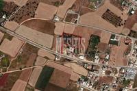 5982 SQM Plot · Avgorou (Famagusta) for sale 