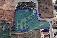 5732 SQM Plot in Zakaki (Limassol) for sale 