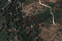 6021 SQM Land in Dora (Limassol) for sale 