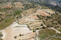 9709 SQM Land in Pachna (Limassol) for sale 