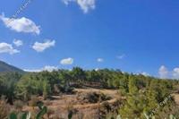 4348 SQM Land · Nikitari (Nicosia) for sale 