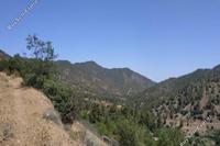 29098 SQM Land · Kampos (Nicosia) for sale 