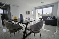 2 Bedroom Apartment in Zakaki (Limassol) to rent 
