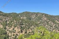29098 SQM Land in Kampos (Nicosia) for sale 