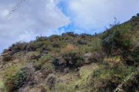 4693 SQM Land · Kato Pyrgos (Nicosia) for sale 