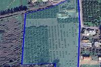 26422 SQM Land in Asomatos Lemesou (Limassol) for sale 