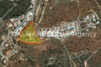 8696 SQM Land in Pissouri (Limassol) for sale 