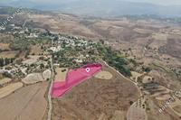9365 SQM Land in Drynia (Paphos) for sale 