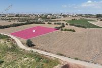 1673 SQM Land in Episkopeio (Nicosia) for sale 