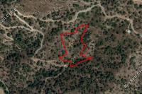 8362 SQM Land in Sykopetra (Limassol) for sale 