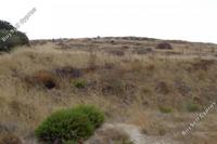 2936 SQM Land in Pomos (Paphos) for sale 