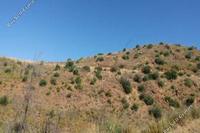 6355 SQM Land · Ora (Larnaca) for sale 