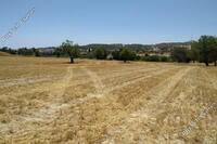 24722 SQM Land in Alethriko (Larnaca) for sale 