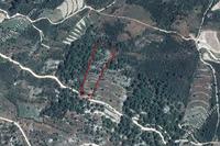 8863 SQM Land · Mesana (Paphos) for sale 