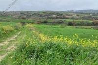 12041 SQM Land · Stroumbi (Paphos) for sale 
