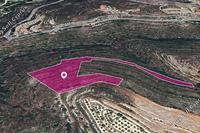 11372 SQM Land in Agios Therapon (Limassol) for sale 