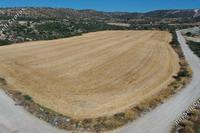 6600 SQM Land in Maroni (Larnaca) for sale 