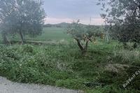 2298 SQM Land in Dali (Nicosia) for sale 
