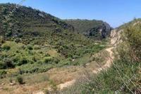 15385 SQM Land · Kathikas (Paphos) for sale 