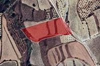 9783 SQM Land · Giolou (Paphos) for sale 