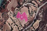 7024 SQM Land in Vavla (Larnaca) for sale 