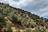 12710 SQM Land in Kalopanagiotis (Nicosia) for sale 
