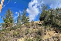 12933 SQM Land in Sina Oros (Nicosia) for sale 