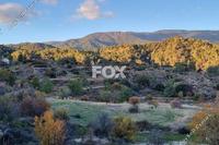 2759 SQM Land in Pera Pedi (Limassol) for sale 