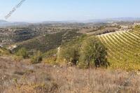 9031 SQM Land in Vasa Kilaniou (Limassol) for sale 