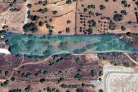 6901 SQM Land · Souni Zanakia (Limassol) for sale 