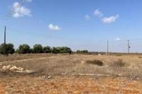 14047 SQM Land · Deryneia (Famagusta) for sale 