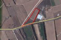 6308 SQM Plot in Kouklia Pafou (Paphos) for sale 
