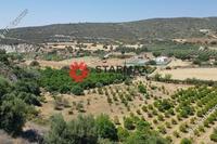 6445 SQM Land in Skarinou (Larnaca) for sale 